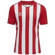 Lyhythihainen t-paita hummel  T-shirt  HmlCore XK Striped Jersey  EU S