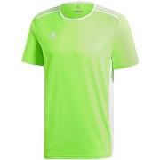 Uimapuvut adidas  Entrada 18  EU L
