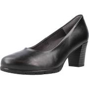 Kengät Pitillos  100P  35