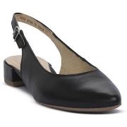 Korkokengät Ara  FIRENZE  38