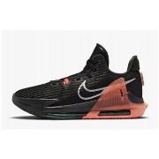 Kengät Nike  Lebron Witness VI  40