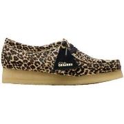 Kengät Clarks  Chaussures  Wallabee motif léopard en daim  40