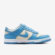 Kengät Nike  Dunk Low Light Silver Sail Light Photo Blue (GS)  38