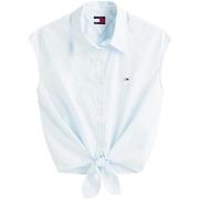 Paitapusero / Kauluspaita Tommy Hilfiger  DW0DW22212  EU S