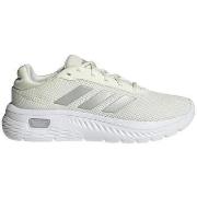 Kengät adidas  Baskets  Commando en cuir  38