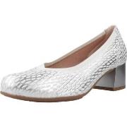 Kengät Pitillos  10460P  36