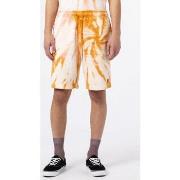 Shortsit & Bermuda-shortsit Dickies  Seatac short  EU L