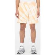 Shortsit & Bermuda-shortsit Dickies  Westfir short  EU S