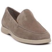 Kengät Frau  DAINO ECRU  39