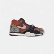 Kengät Nike  SB Air Trainer 1 Arts-Rec Limestone  42