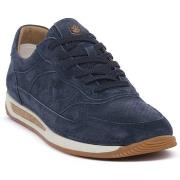 Kengät Lumberjack  INDIGO CORKRUN  42