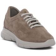 Kengät Frau  43B3SAND  37