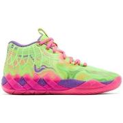 Kengät Puma  31043701  43