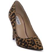 Korkokengät Steve Madden  LEOPARD THRIVE  36