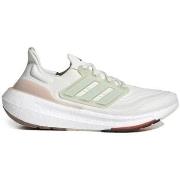 Kengät adidas  HQ6338  42