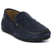 Kengät Valleverde  SUEDE ROYAL  41