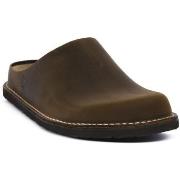 Puukengät Bioline  GAMI MARRONE  38