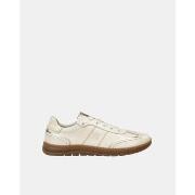 Kengät Fluchos  JUNGLE F2430  37