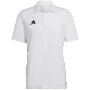 Lyhythihainen poolopaita adidas  Polo  Entrada 22 manches courtes blan...