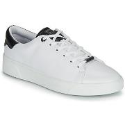 Kengät Ted Baker  ZENIB  36