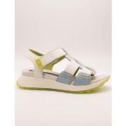 Sandaalit Hispanitas  CHV264624  37