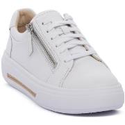 Kengät Clarks  HOLLYROSE ZIP  38