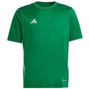 Lyhythihainen t-paita adidas  Jersey Jr  EU L