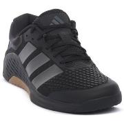 Kengät adidas  ADI NETCOURT ELITE  42