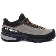 Kengät Scarpa  726973500001  42