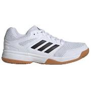 Tennarit adidas  Speedcourt  36