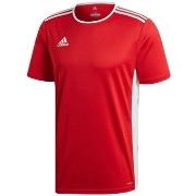 Lyhythihainen t-paita adidas  Entrada 18  EU XL