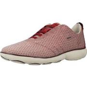 Kengät Geox  Sport   Zapatillas Mujer Modèle D Nebula  35