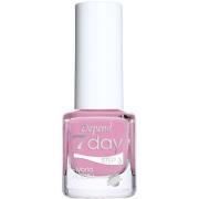 Depend Depend Cosmetic Afterwork O'Clock - 5 ml