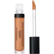 bareMinerals BarePro All Over Skin Perfecting Conceal Light 250 Neutra...