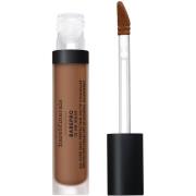 bareMinerals BarePro All Over Skin Perfecting Conceal Medium Deep 450 ...