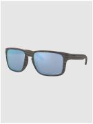 Oakley Holbrook XL Woodgrain Aurinkolasit ruskea