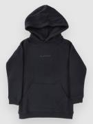 Blue Tomato Mini Logo Kids Huppari harmaa