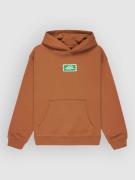 Quiksilver Graphic Hero Kids Huppari ruskea