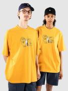 adidas Skateboarding Gonz Crusty T-paita ruskea