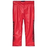 The Animals Observatory Chicken Pants Red Apple Black The Animals 2 Ye...