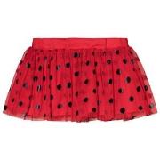 Stella McCartney Kids Honey Skirt with Ladybird Dots Red 2 years