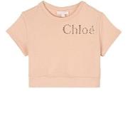 Chloé Logo Short-Sleeved Sweatshirt Pink 14 years