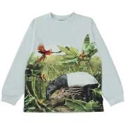 Molo GOTS Rube T-Shirt Tapir Friends 92 cm