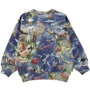 Molo Monti GOTS Sweatshirt Amazing Earth 104 cm
