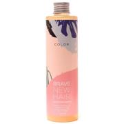 Brave New Hair Color schampoo 250 ml