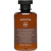 APIVITA Oily Dandruff Shampoo  250 ml