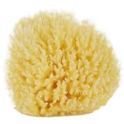 Palmetten Mediterranean Sponge Large 13 cm