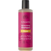 Urtekram Rose For Normal Hair Shampoo normaaleille hiuksille 250