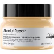 L'Oréal Professionnel Absolut Repair Serie Expert Professional Ma