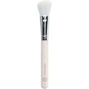 PAESE Minerals Brush 02